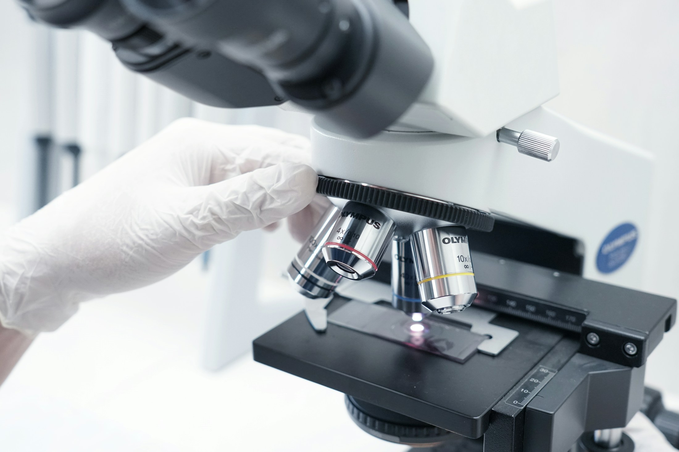 The embryology laboratory