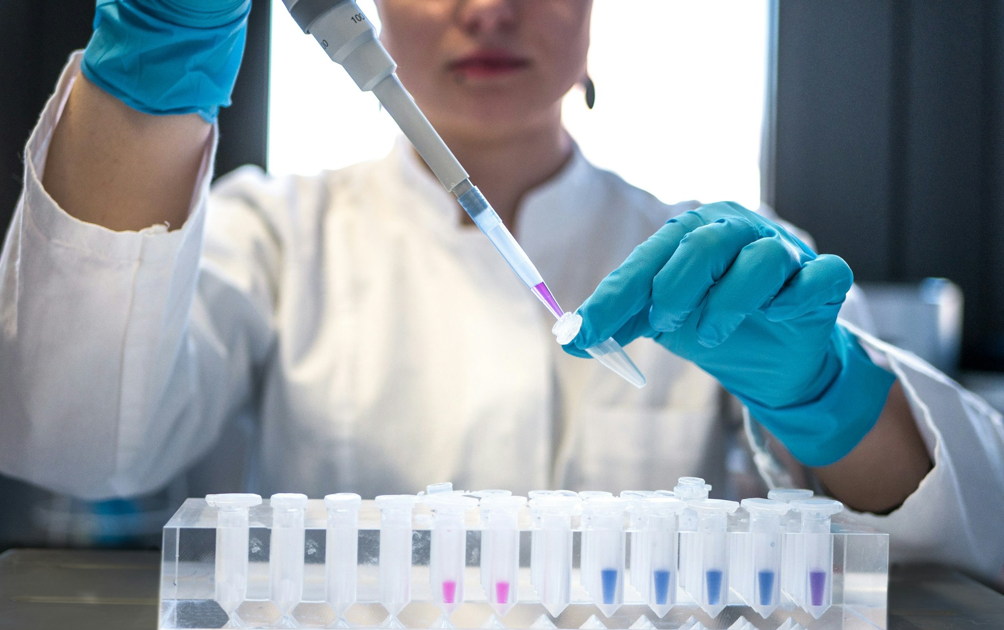 The on-site laboratory
