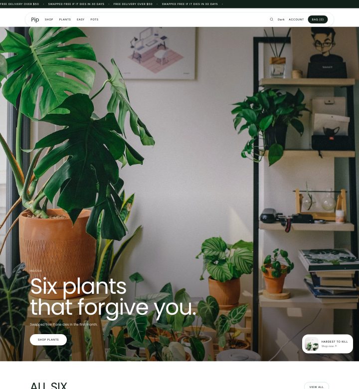 Pip storefront